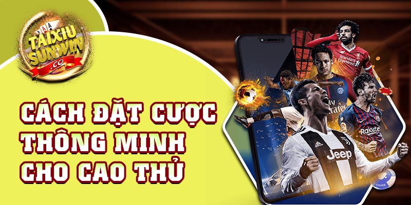 Cách đặt cược thông minh cho cao thủ 