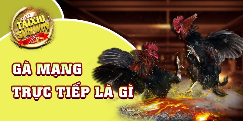 Gà mạng trực tiếp là gì?