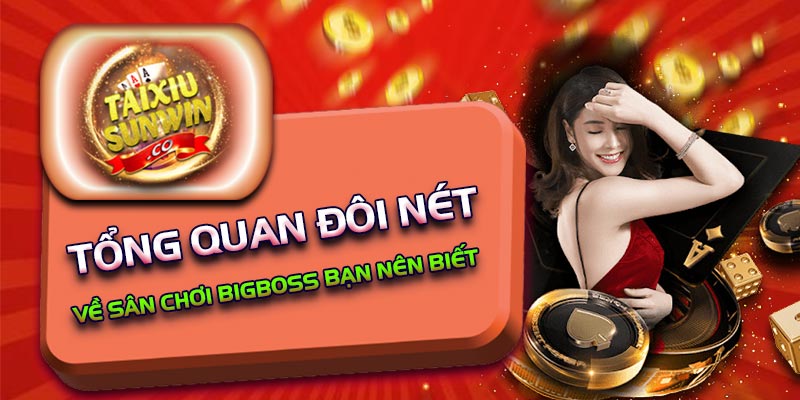 Tổng quan đôi nét về sân chơi Bigboss bạn nên biết