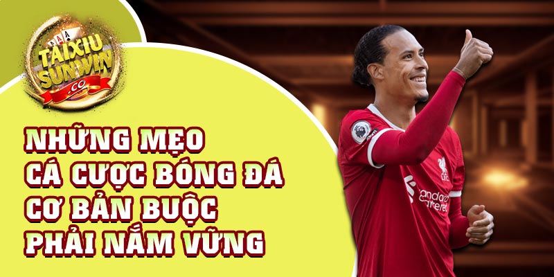 Những mẹo cá cược bóng đá cơ bản buộc phải nắm vững trong cá cược bóng đá