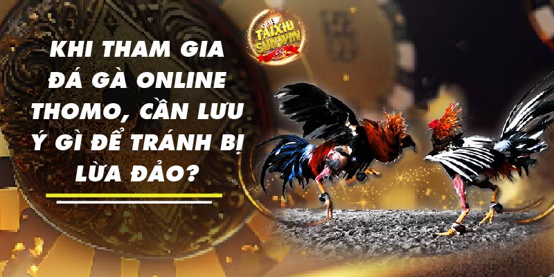 Khi tham gia đá gà online Thomo, cần lưu ý gì để tránh bị lừa đảo?