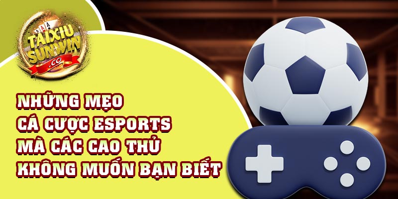 Bật mí mẹo cá cược Esports bất bại cho tân thủ