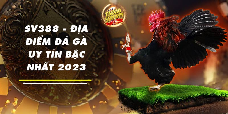 SV388 - Địa điểm đá gà uy tín bậc nhất 2023