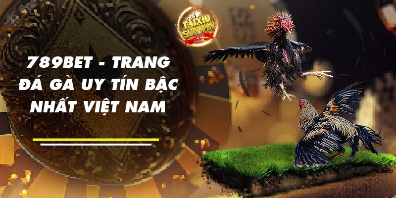 789bet - trang đá gà uy tín bậc nhất Việt Nam