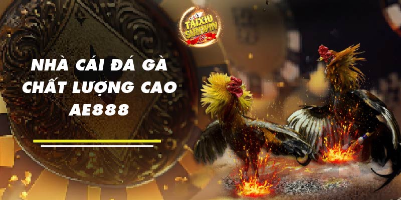 Nhà cái đá gà chất lượng cao AE888