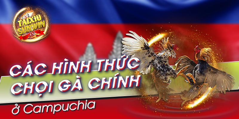 Các hình thức chọi gà chính ở Campuchia