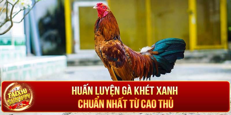 Một số bài tập cho gà khét xanh