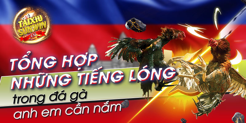 Tổng hợp những tiếng lóng trong đá gà anh em cần nắm