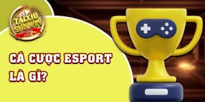 Giới thiệu sơ lược về hình thức cá cược Esports 